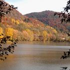 Herbstspaziergang am See ;)