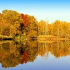 Herbstspaziergang am See