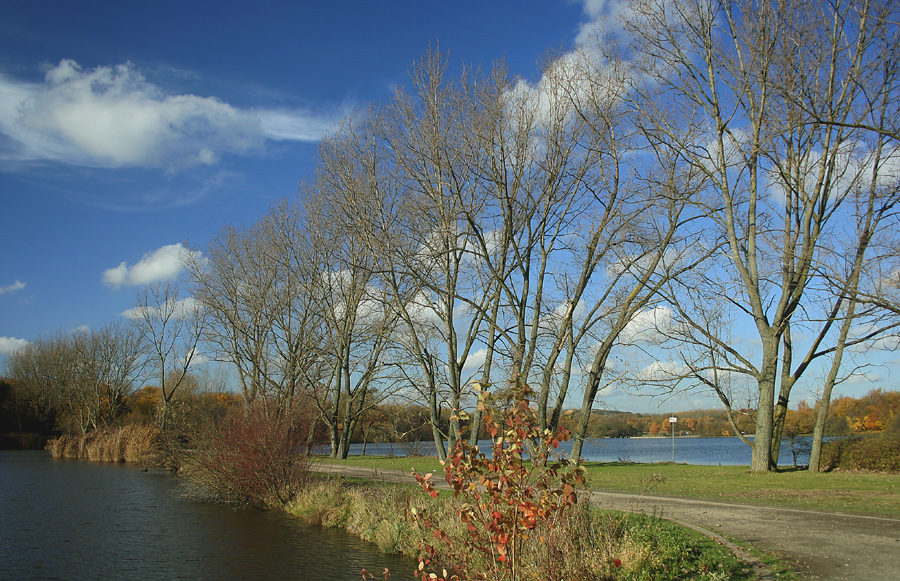 Herbstspaziergang am Ümminger See bei Bochum