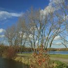 Herbstspaziergang am Ümminger See bei Bochum