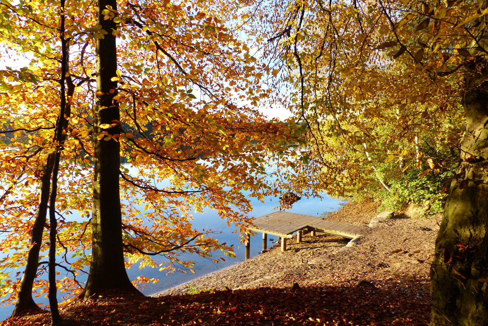 Herbstspaziergang am Wolfsee - Steg