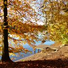 Herbstspaziergang am Wolfsee - Steg