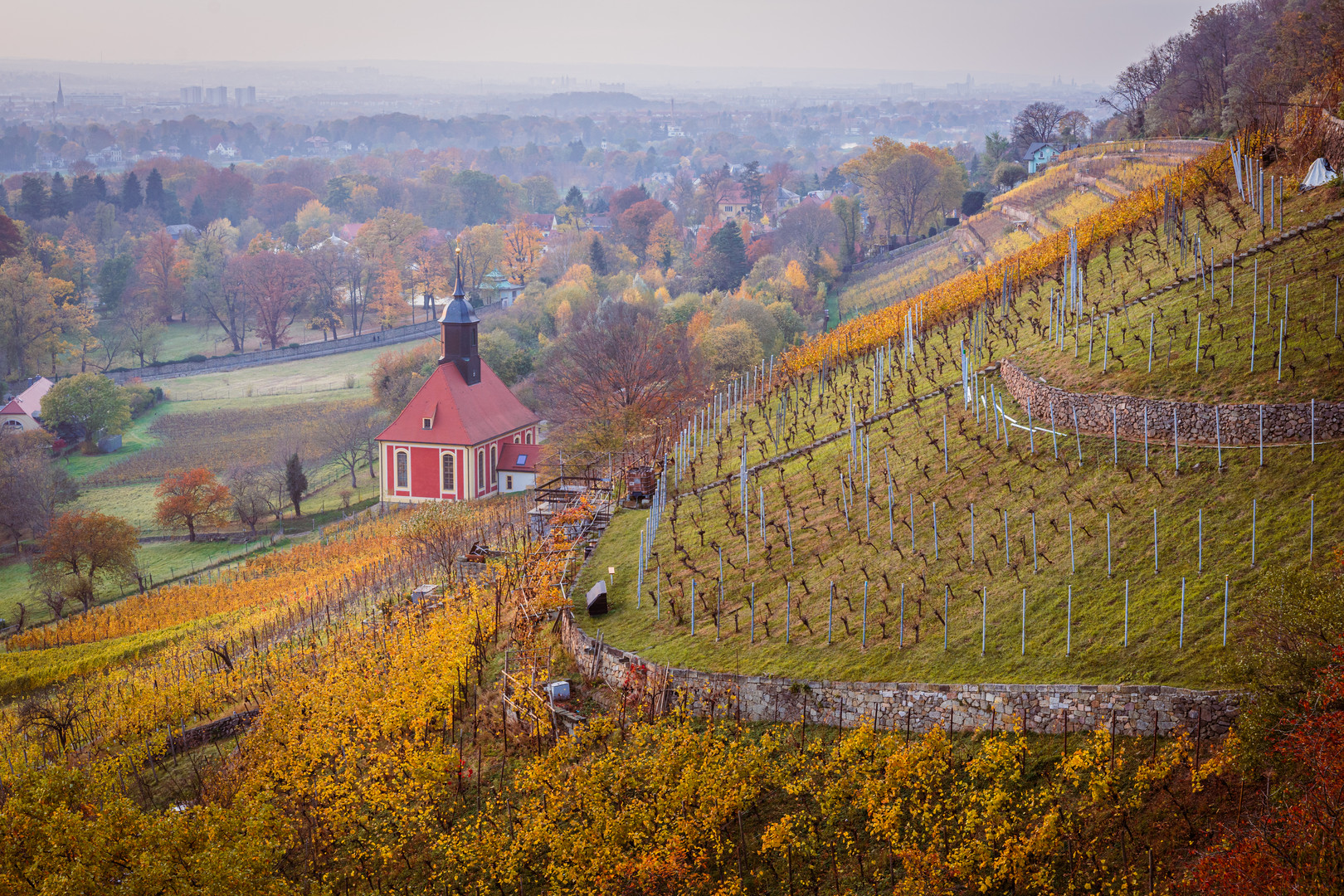 Herbstspaziergang an den Weinbergen 