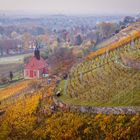 Herbstspaziergang an den Weinbergen 