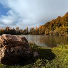 Herbstspaziergang an der Drau