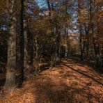 Herbstspaziergang an der Düssel