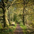 Herbstspaziergang an der Hunte im Landkreis Oldenburg