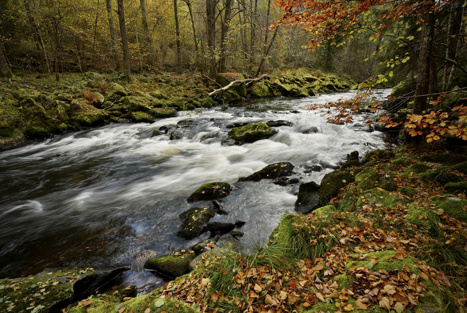 Herbstspaziergang an der Ilz