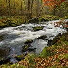 Herbstspaziergang an der Ilz