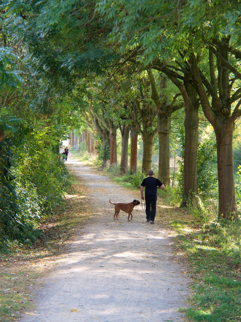 Herbstspaziergang an der Münsterschen Aa