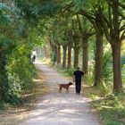 Herbstspaziergang an der Münsterschen Aa