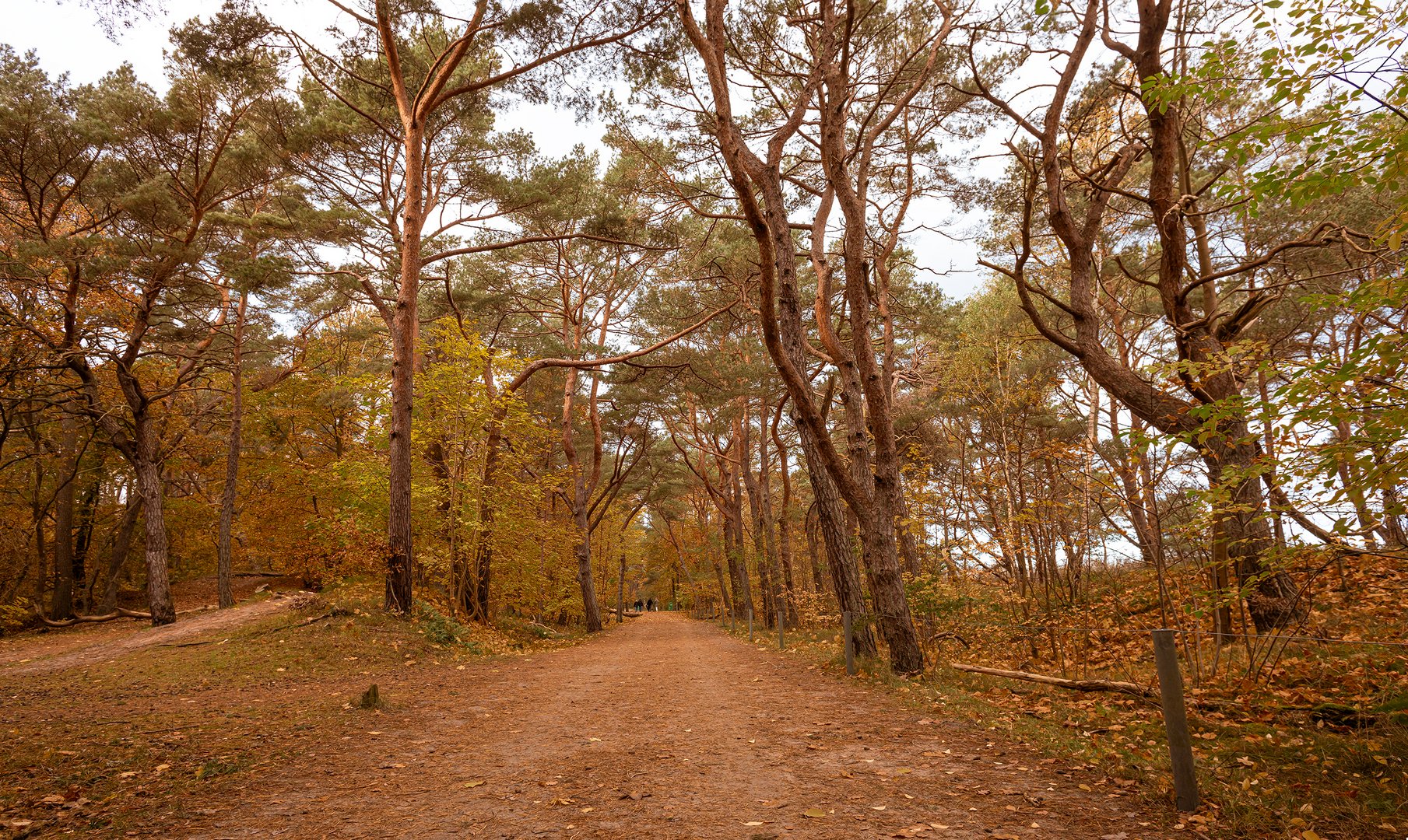 Herbstspaziergang an der Ostsee 