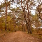 Herbstspaziergang an der Ostsee 