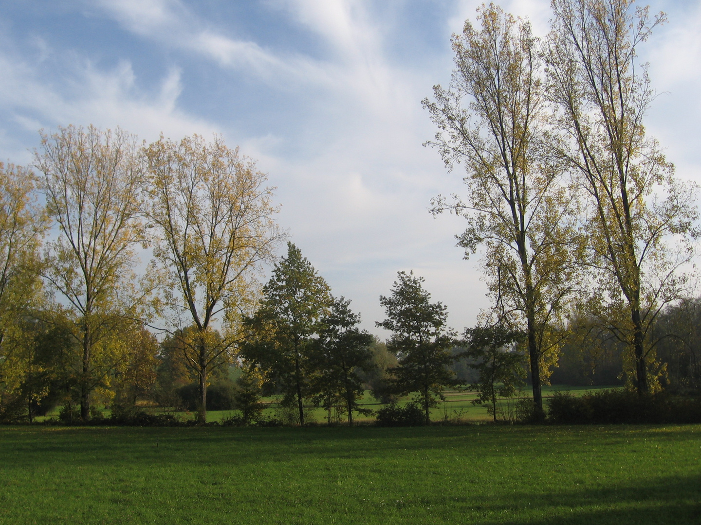 Herbstspaziergang an der Reuss in der Schweiz