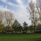 Herbstspaziergang an der Reuss in der Schweiz