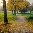 herbstspaziergang an der sieg