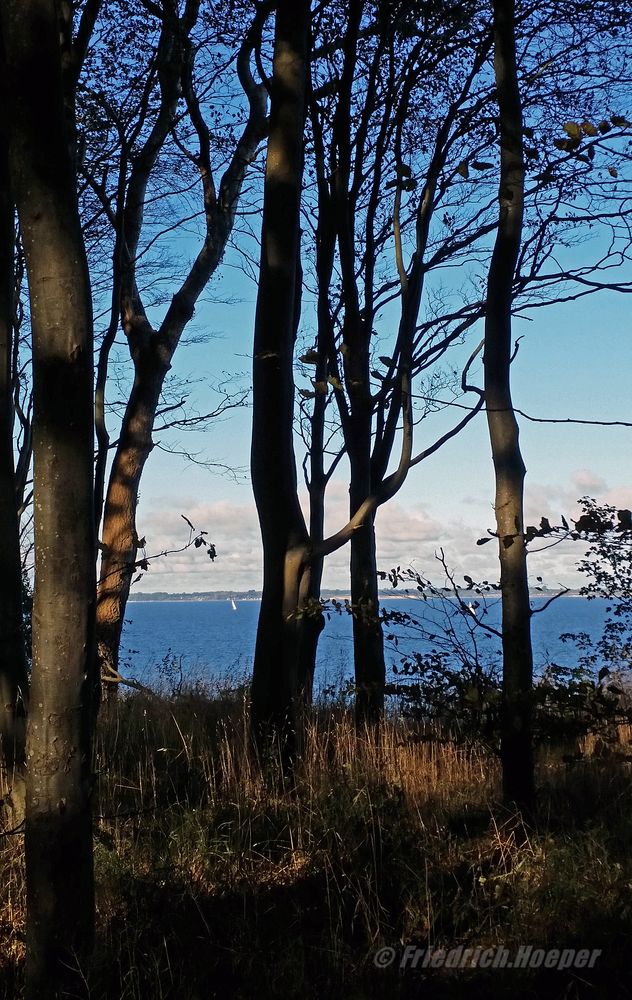 Herbstspaziergang an der Steilküste_1