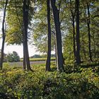 Herbstspaziergang an der Steilküste_2