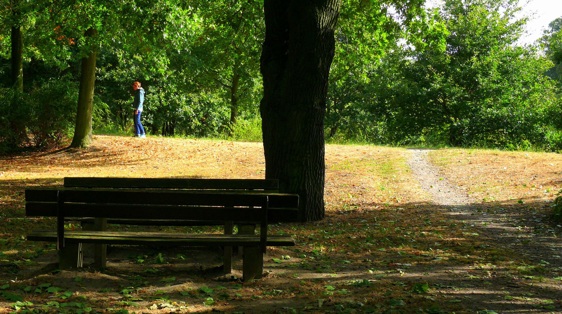 Herbstspaziergang an der Werre