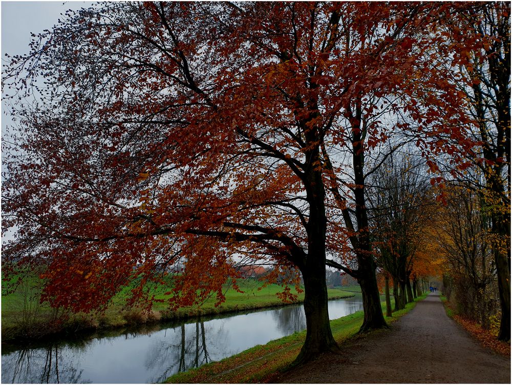 Herbstspaziergang an der Werre (I)