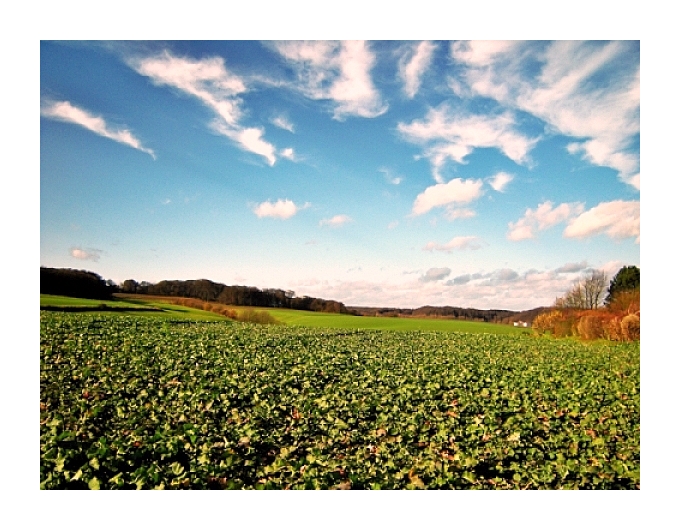 Herbstspaziergang auf den Erkrather Feldern