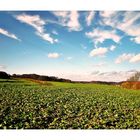 Herbstspaziergang auf den Erkrather Feldern