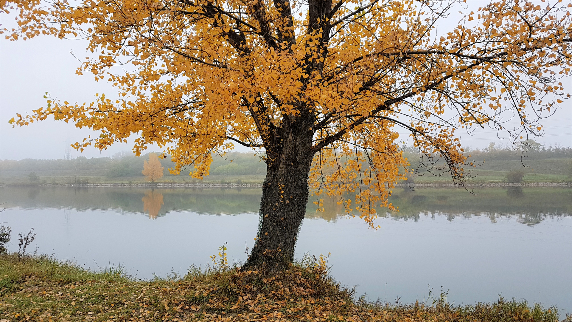 Herbstspaziergang auf der Donauinsel Wien