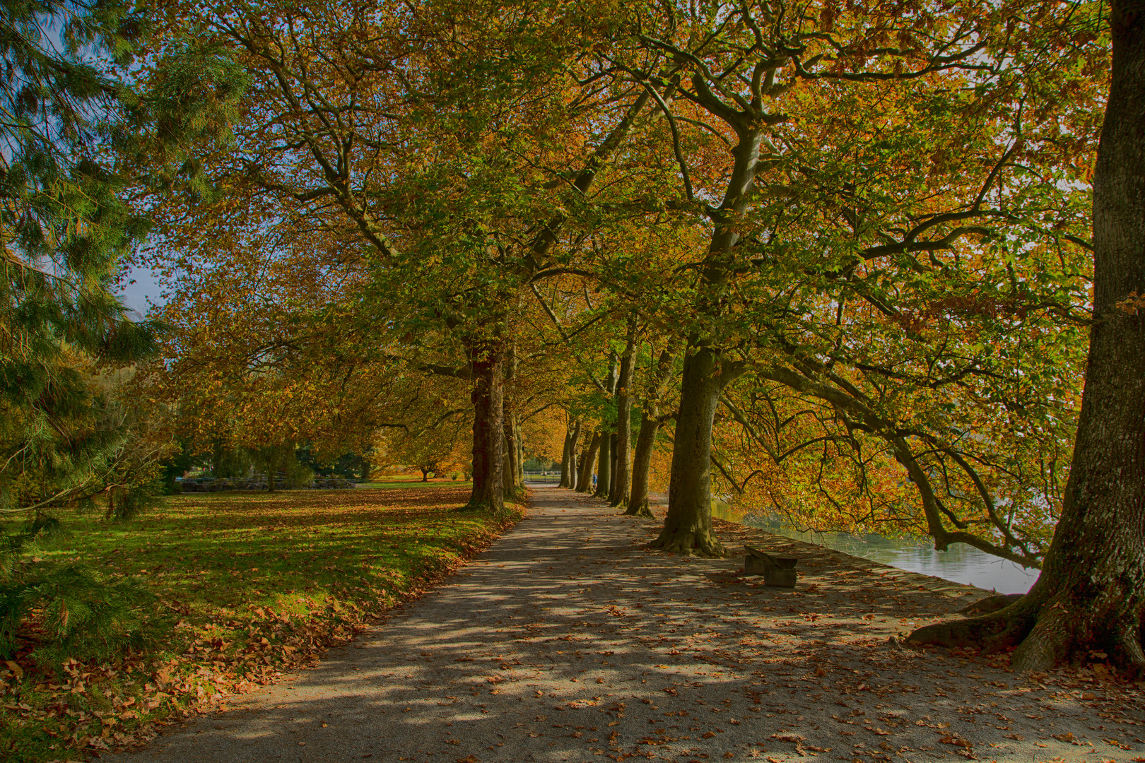 Herbstspaziergang auf der Mainau