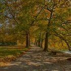 Herbstspaziergang auf der Mainau