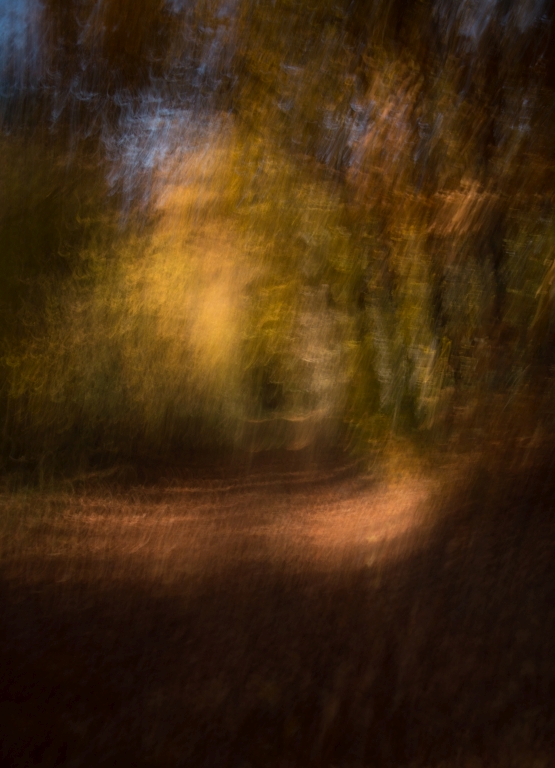 Herbstspaziergang auf der Tromm