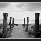 Herbstspaziergang auf Fehmarn