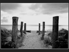 Herbstspaziergang auf Fehmarn