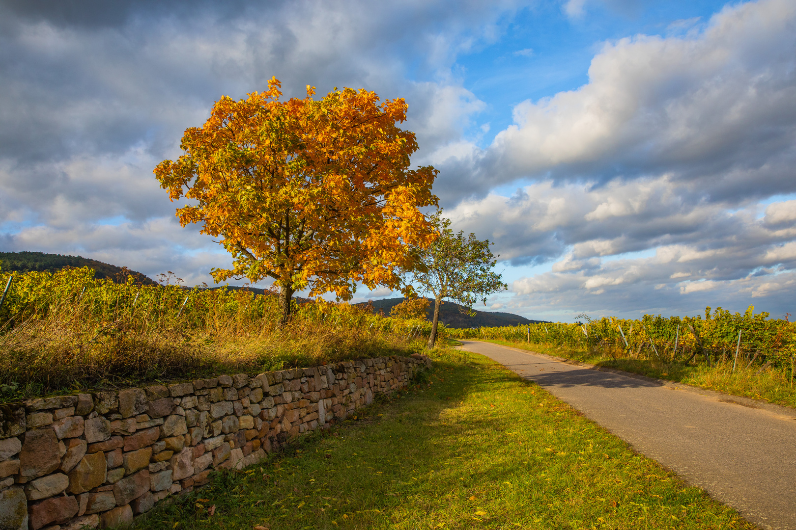 Herbstspaziergang