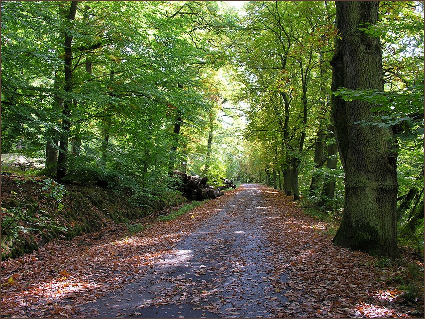 Herbstspaziergang