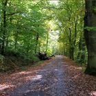 Herbstspaziergang