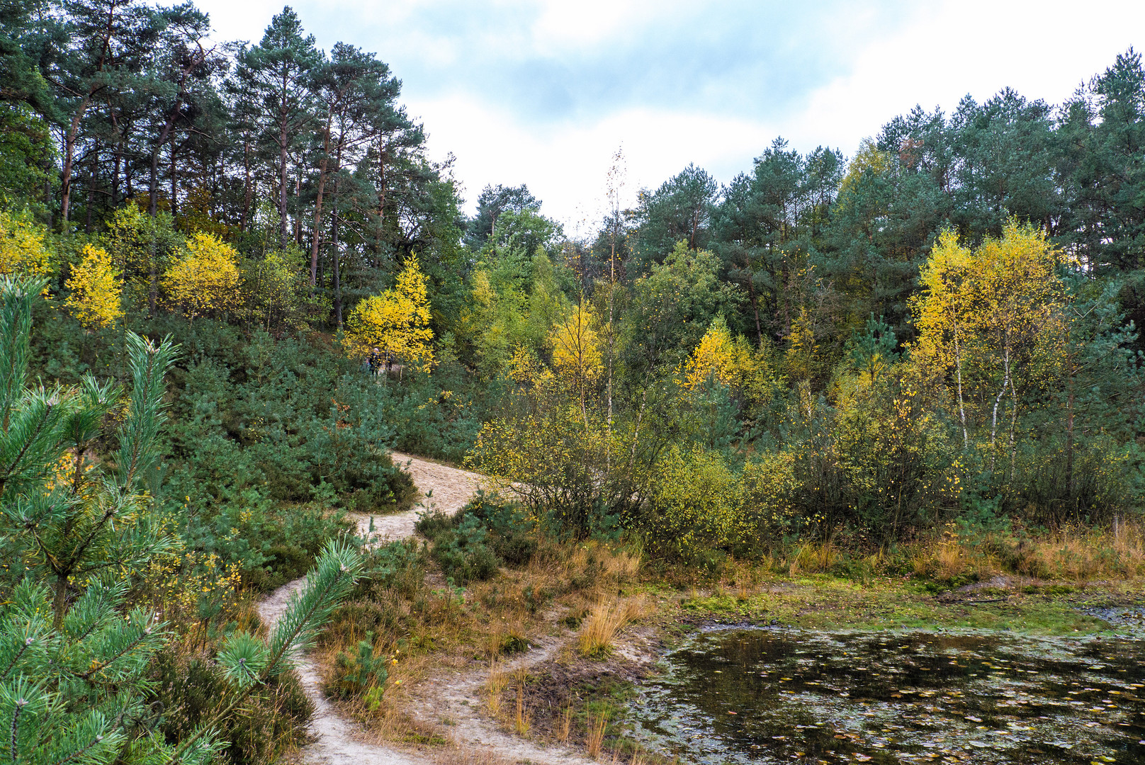 Herbstspaziergang