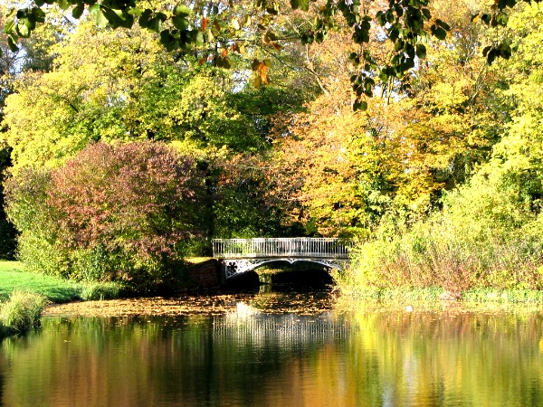 Herbstspaziergang