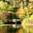 Herbstspaziergang