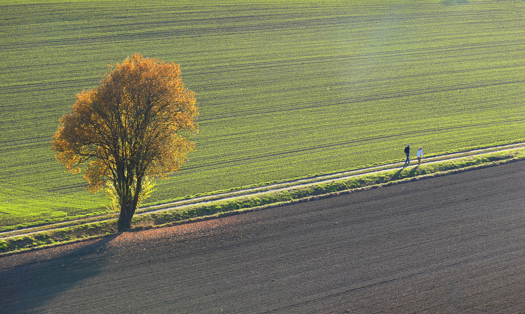 Herbstspaziergang