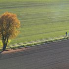 Herbstspaziergang