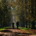 Herbstspaziergang