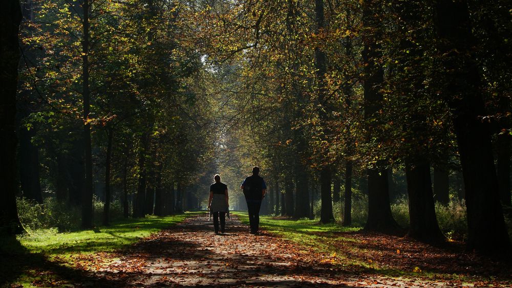 Herbstspaziergang