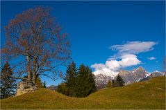 Herbstspaziergang