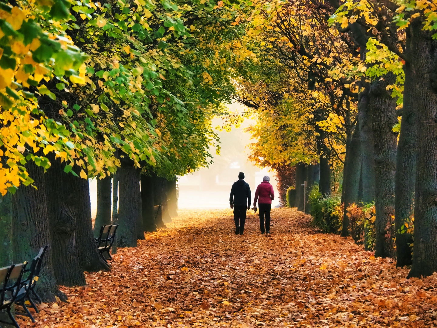 Herbstspaziergang