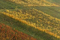 Herbstspaziergang