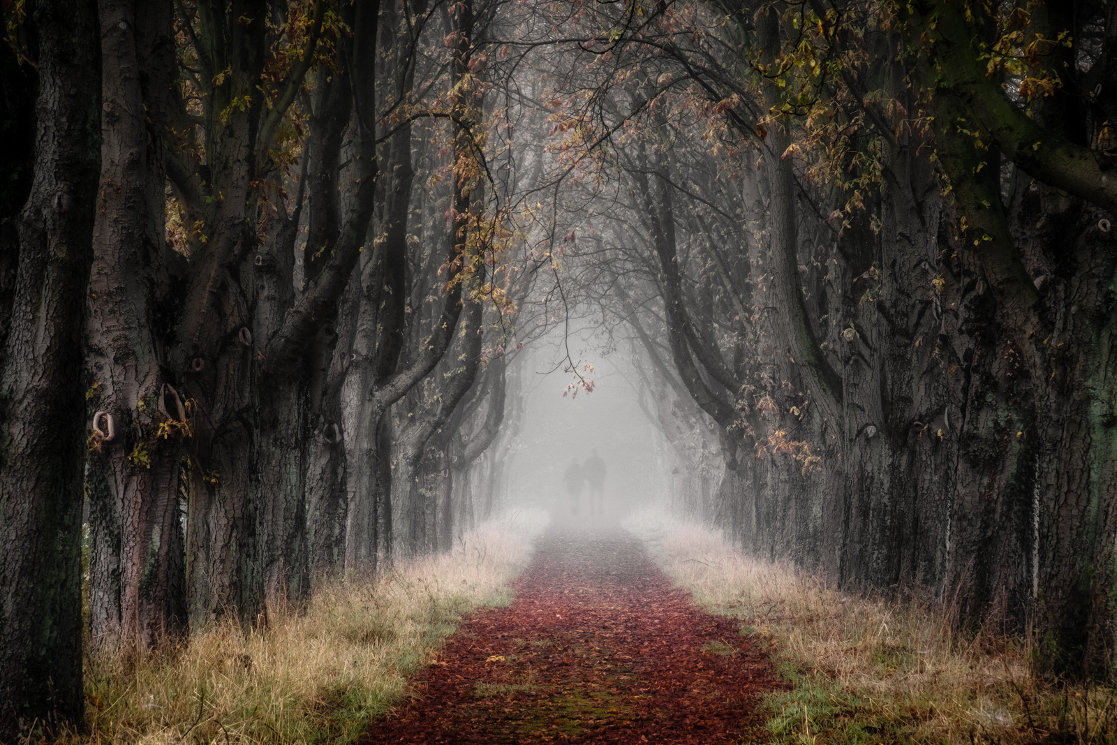 Herbstspaziergang