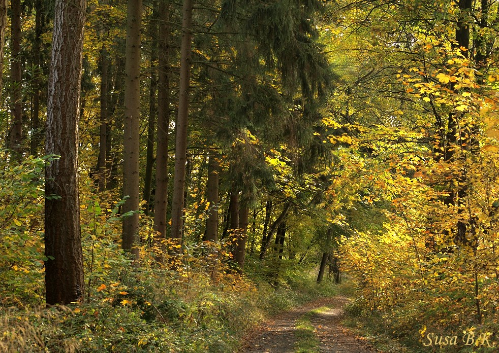 Herbstspaziergang