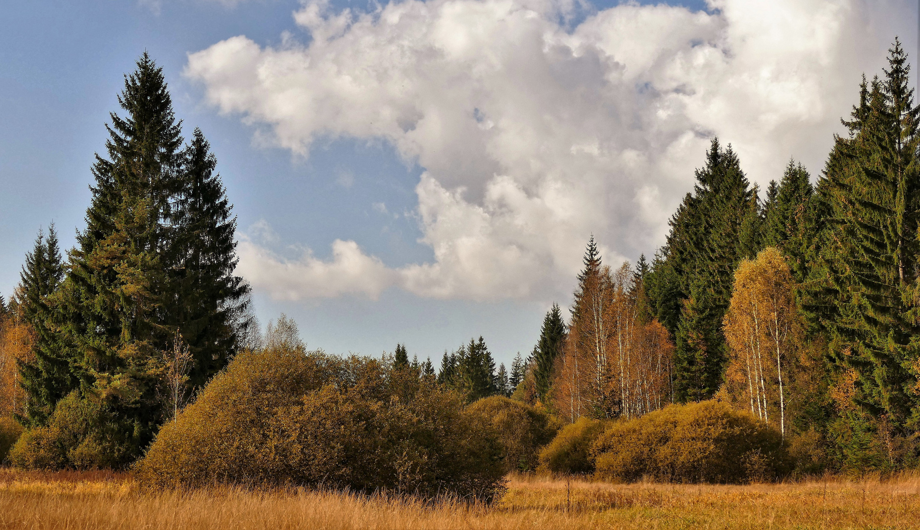 Herbstspaziergang