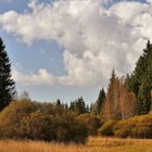 Herbstspaziergang