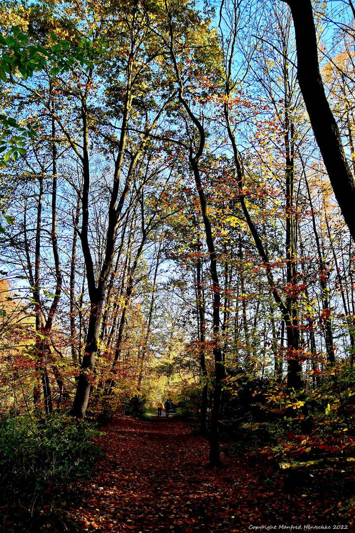 Herbstspaziergang 